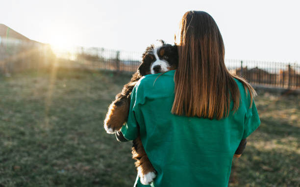 best puppy food by breed